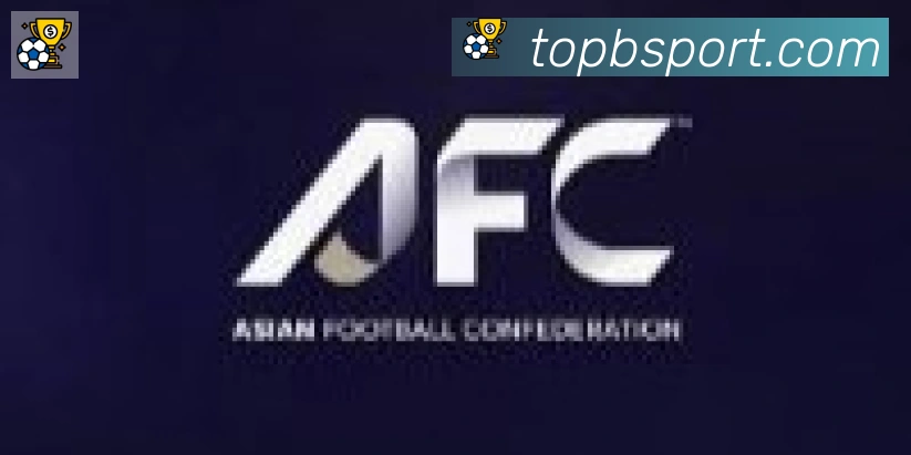 Bsports官网合作伙伴